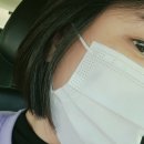 보나덴탈 이미지