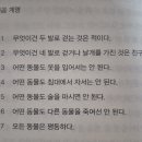 보다더동물농장 이미지