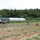 현화2리마을회관 이미지