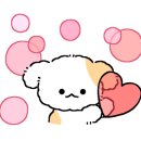 모하카페 이미지