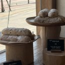 루스티코(Rustico) | 발산역 소금빵 찐맛집 _ 더루스티코 내돈내산후기