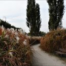 노을공원1 이미지