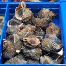 노다지수산 이미지