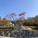 원미공원 | &lt;부천 가을단풍 공원 명소&gt; 원미공원 방문후기(2024년 11월 11일)