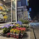 해리스플라워마켓연남점