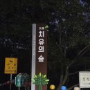 마음치유 생화 플로리스트 | 거제 케이터링 임산부의날 행사 치유의숲 파티숲과