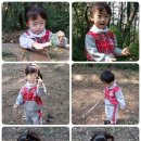 서윤의숲길 이미지