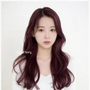 토리원 네이버블로그