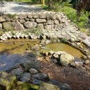 솔향기펜션 | 속리산 문경 펜션 솔향기펜션 계곡 앞 산책 맛집 솔직 후기