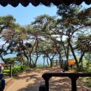 섬진강 솔밭이 보이는 풍경 이미지