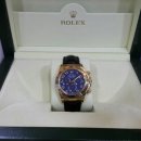 데이토나 이미지