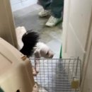 수아켄넬 이미지