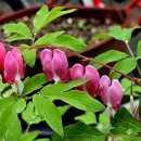 의귀리농촌체험휴양마을 이미지