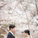 서울대학교호암교수회관 노동조합 | 마인드그라피 ⏐ 서울대 교수회관 본식스냅 후기