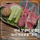 녹지로 | [마곡] 콜키지 무료 구워주는 양갈비 맛집 “녹지 마곡본점” 후기