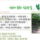 부암동B 이미지