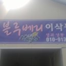 이삭블루베리
