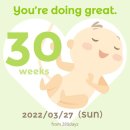 배떡 영대점 이미지