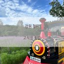 고석정농산물판매장