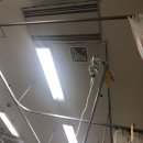 박은호이비인후과의원 | 새벽에 응급실행 / 이석증 / 양성 자세 현훈 / 이석증 치료 / 광주 베스트 이비인후과 / 박은호 이비인후과