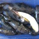 해미식당 이미지