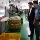 선형상사 이미지