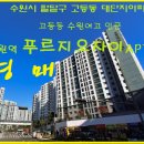 수원-0439 Daum카페
