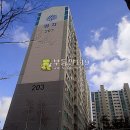 승학동길 Daum카페