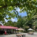 댕댕이 주전부리 이미지