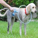 세정헬스케어 이미지