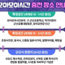 군산초등학교 | 2024 군산시간여행축제 후기 모아모아시간