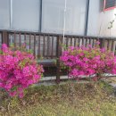 수종농장 이미지