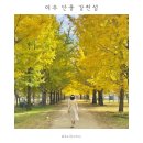 강천보건진료소 화장실 | 경기도 여주 단풍명소 강천섬 이번주가 마지막! | 개화상황