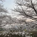 클로스커피