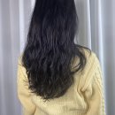 도안동 헤어샵 머리잘하는곳 쉐어에비뉴102호 후기