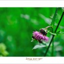 영원목장 이미지