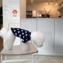 매그 쇼핑하우