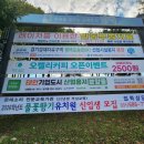 청북고등학교 삼거리 이미지