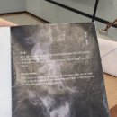 스파고결 이미지