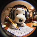 50문 50답
