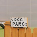 아프리카펫센터 이미지