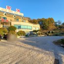 장기로65번길 이미지