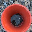 용신44 | 지인과 함께 방문한 인천점집 천신당에서 경험한 사주와 용신기도 후기