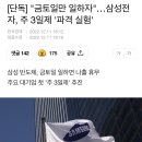 삼성전자 주3일제 실험, 주4일제or주3일제 이미지