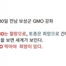 보성읍사무소 이미지