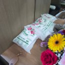 29170-5-B-12 | 수원 산부인과 에덴메디여성병원 제왕절개 5박6일 입원후기(1인실B)