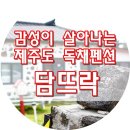 담뜨락 이미지