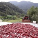 만세동농장 이미지