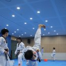 태권도 비전팀 이미지