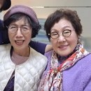 흥선천 이미지